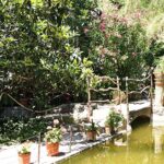 Mallorca-Son-Marroig-Garten-Teich