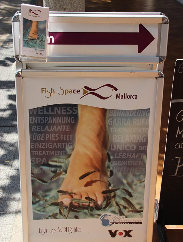 Fisch-Space-Mallorca-Schild