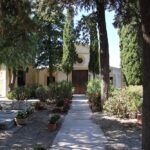Mallorca-Friedhof-Deia-Baeume