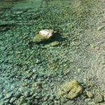 Cala-Figuera-Wasser-Meer Klar-Steine