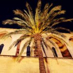 Mallorca-Alcudia-Nacht-Kirche-Palme-3