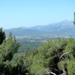 Mallorca-La-Victoria-Wandern-Geocachen-Land-Aussicht-6