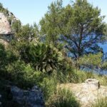 Mallorca-La-Victoria-Wandern-Geocachen-Meer-Aussicht-Ruinen