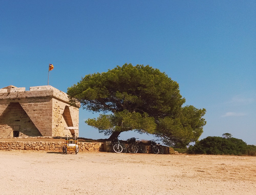 Spaziergang zum Castell de sa Punta de n’Amer | We Love Mallorca