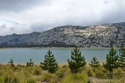 Mallorca-Stausee-Cuber-Wasser-Berge-Baeume