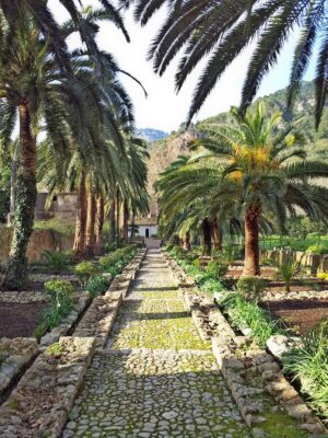 Jardines de Alfabia Die Gärten von Alfabia We Love Mallorca