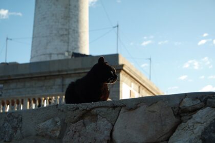 Mallorca-Cap-Formentor-Leuchtturm-Schwarze-Katze-3