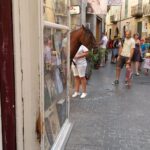 Mallorca-Soller-Gasse-Pferd