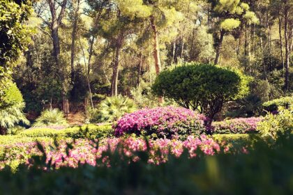 Mallorca-Palma-Marivent-Gaerten-Blumen-3