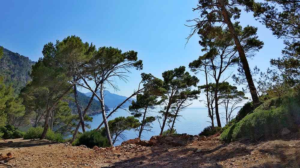 Mallorca-Sa-Foradada-Wanderung--Ausblick-Weg-Meer