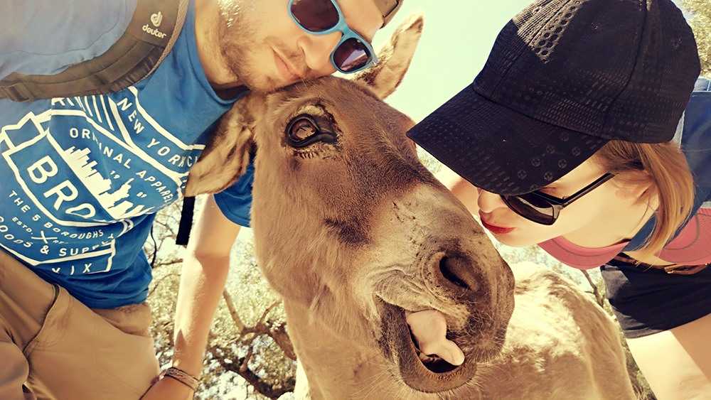Mallorca Sa Foradada Wanderung Esel Selfie