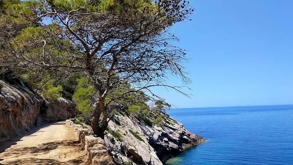 Mallorca-Sa-Foradada-Wanderung-Weg