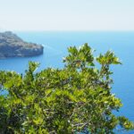 Mallorca Port de Soller Torre Picada Wanderung Ausblick Far del Cap Gros Meer 2