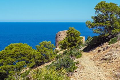 Mallorca Sant Elm Wandern Torre de Cala en Basset 14