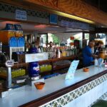 All Inclusive Bar Hotel Mallorca Tonga