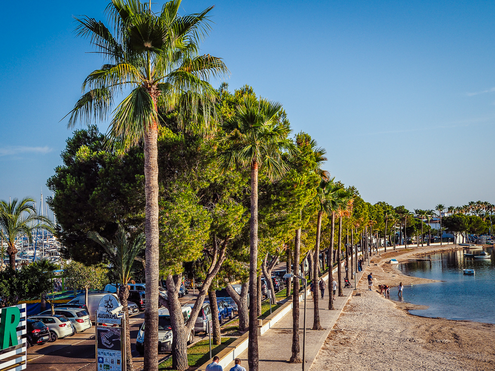 Mallorca Port de Alcudia Strand 2