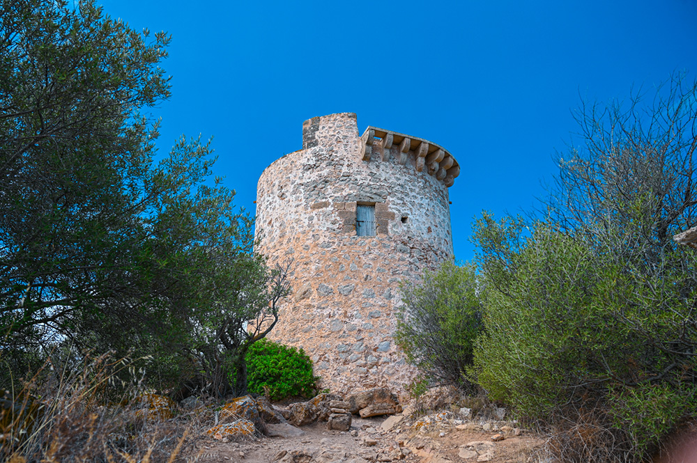 Mallorca-Wanderung-Paguera-Torre-de-Cap-Andritxol-5